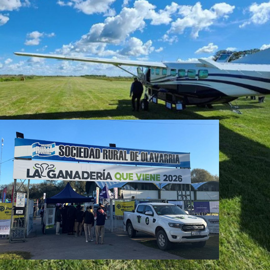 Turismo privado